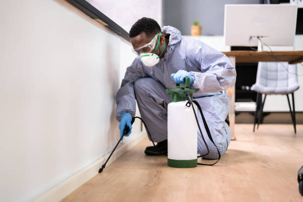 Professional Pest Control in Park Ridge, IL